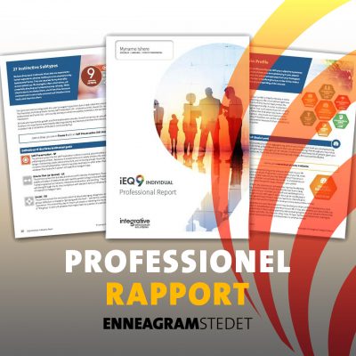 Enneagramtest, Professionel Rapport