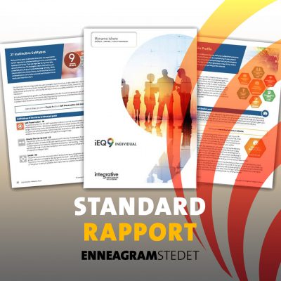 Enneagramtest, Standard Rapport